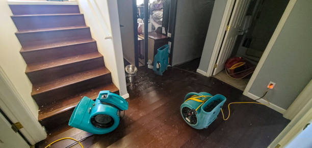 Best Fire Damage Restoration  in Hooverson Heights, WV