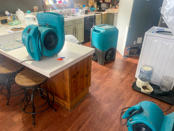 Best Flood damage cleanup  in Hooverson Heights, WV