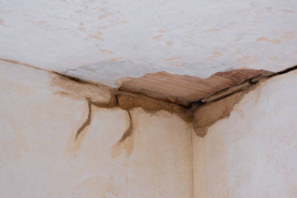 Best Professional water damage repair  in Hooverson Heights, WV