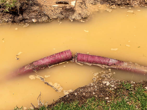 Best Water damage restoration services  in Hooverson Heights, WV